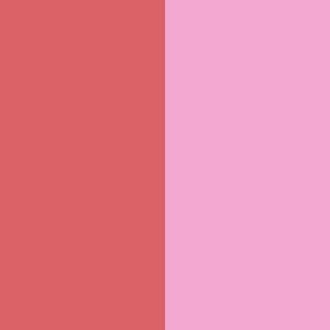 Duet Baked Blush - Pop Star