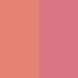 Duet Baked Blush - Spice Gal