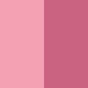 Duet Baked Blush - VIP Pink