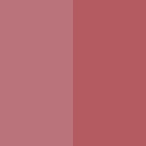 Duet Baked Blush - Backstage